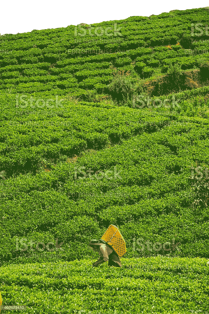 Reporting extra-financier